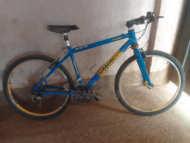 Mountain Bike - main view