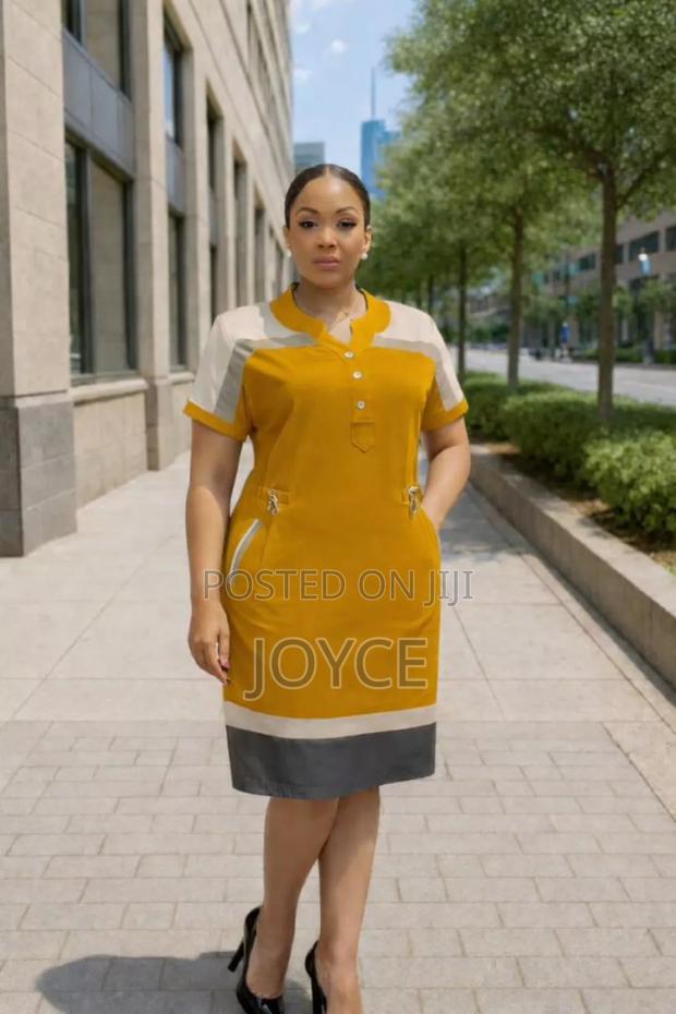 Senori Shirt Dress - main view