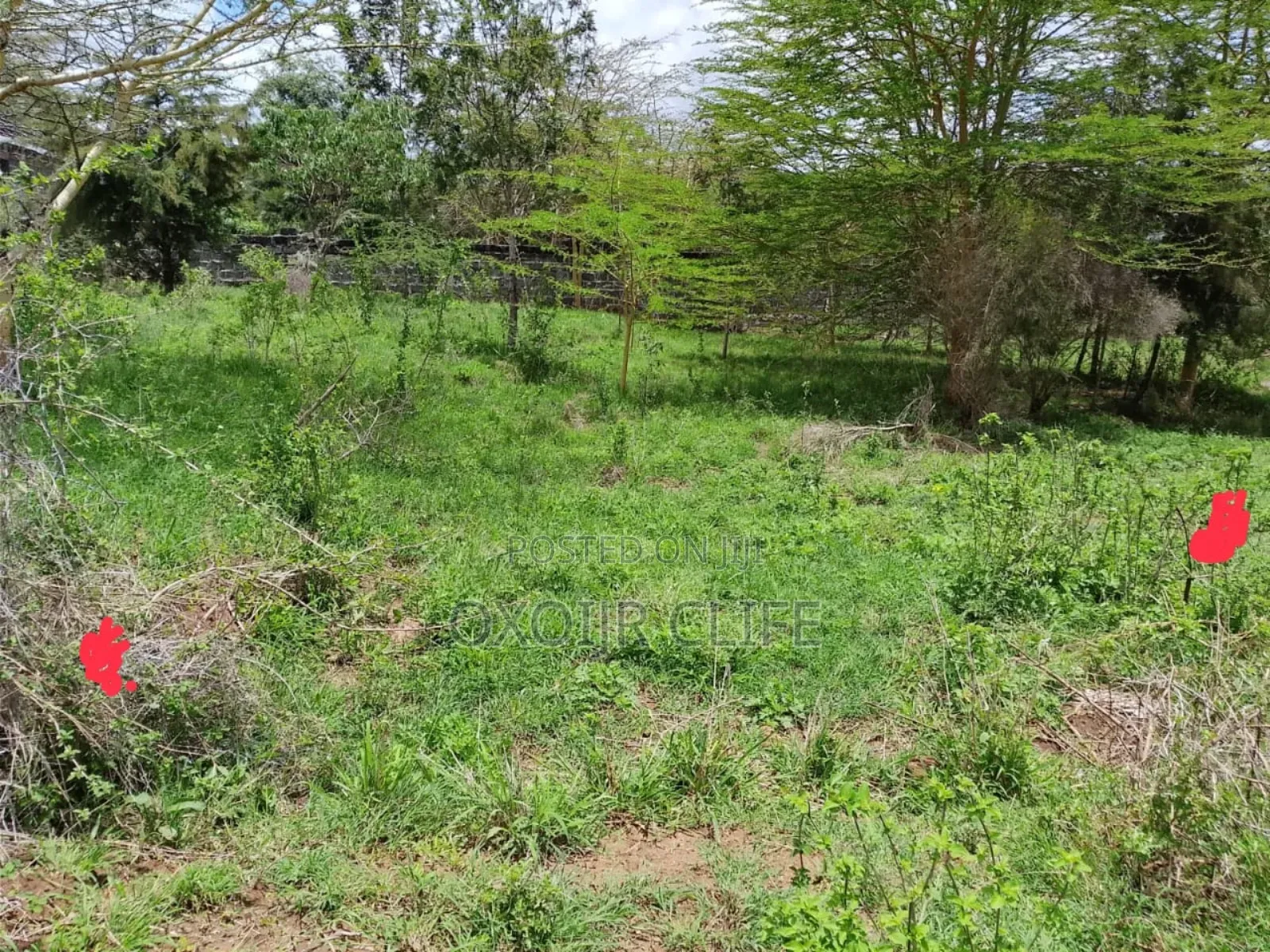 Selling a Plot