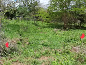 Selling a Plot