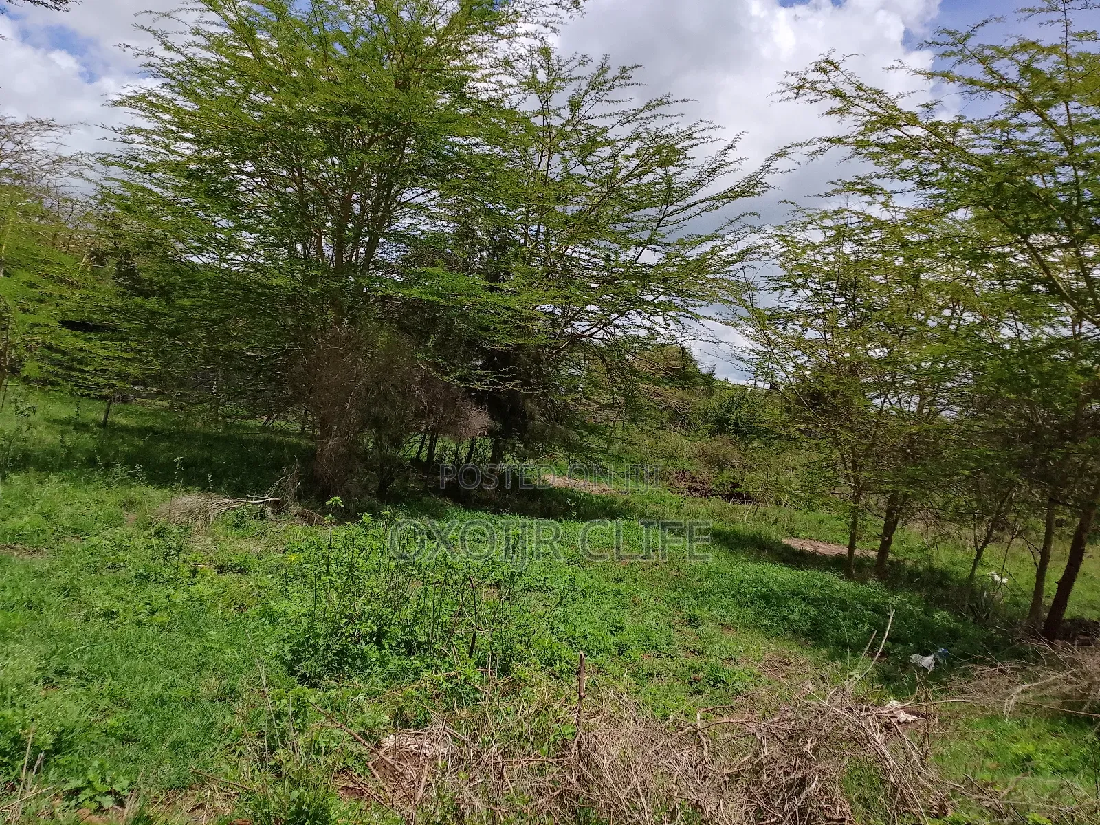 Selling a Plot