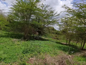 Selling a Plot