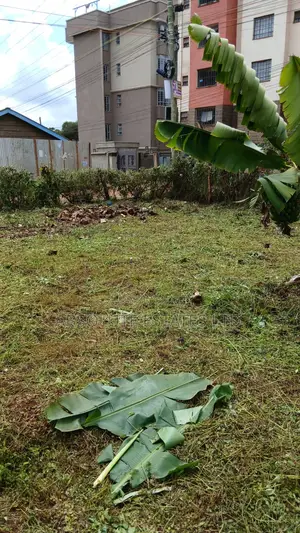 100x50 Plot for Sale in Muthiga  