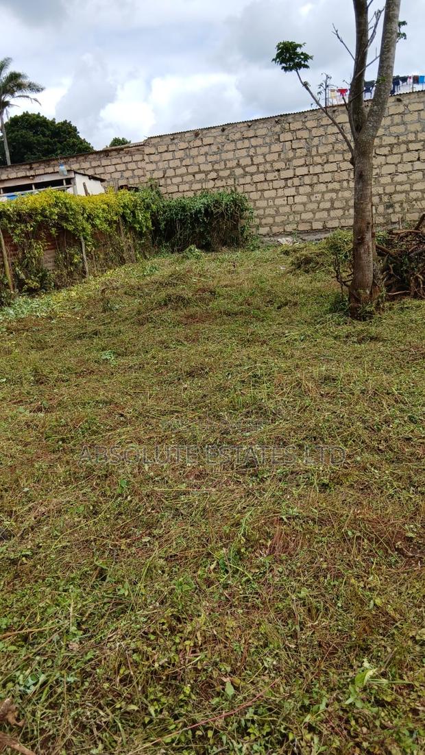 100x50 Plot for Sale in Muthiga   - thumbnail 3