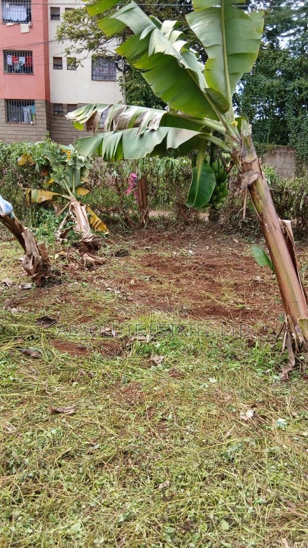 100x50 Plot for Sale in Muthiga   - thumbnail 4