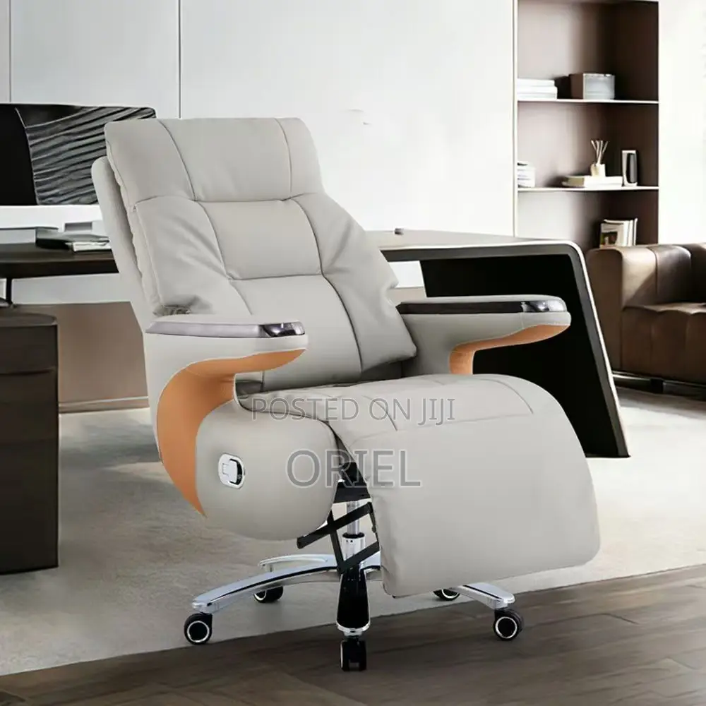 Office Chair : Executive Reclining Ergonomic Office Leather Chair