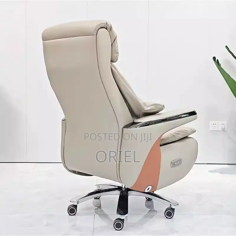 Office Chair : Executive Reclining Ergonomic Office Leather Chair