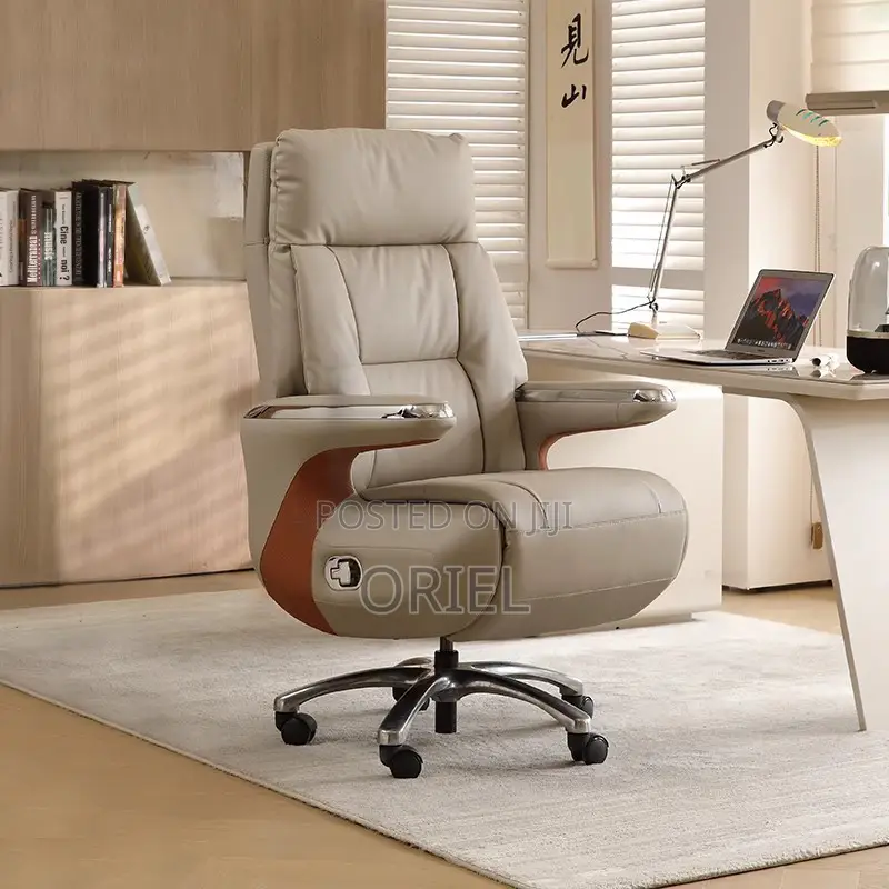 Office Chair : Executive Reclining Ergonomic Office Leather Chair