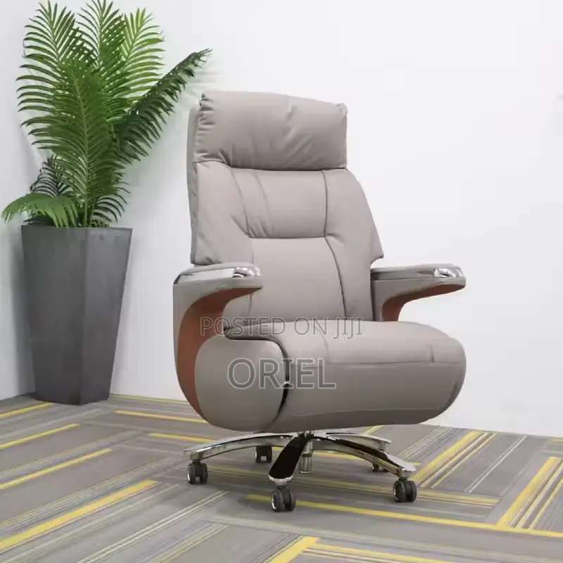 Office Chair : Executive Reclining Ergonomic Office Leather Chair
