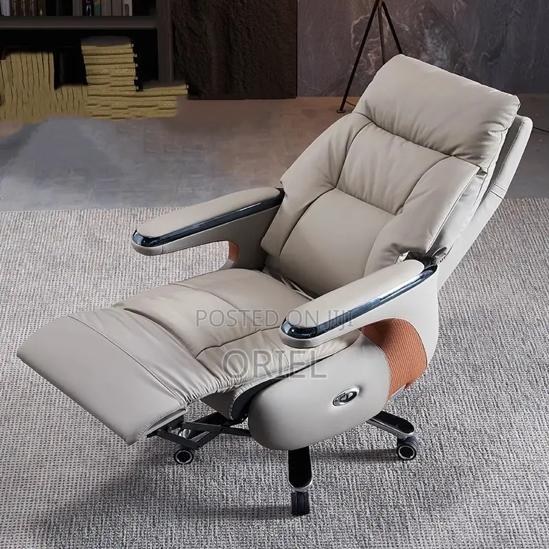 Office Chair : Executive Reclining Ergonomic Office Leather Chair