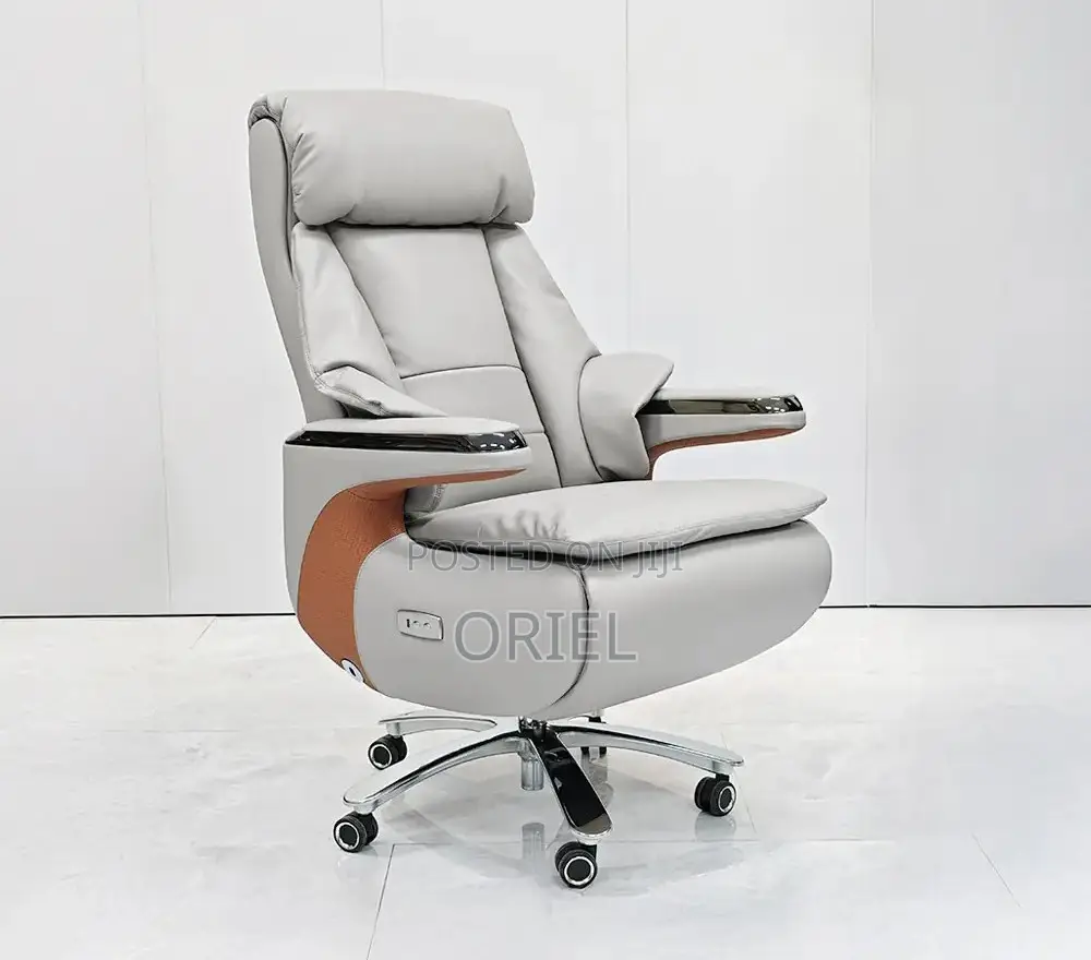 Office Chair : Executive Reclining Ergonomic Office Leather Chair