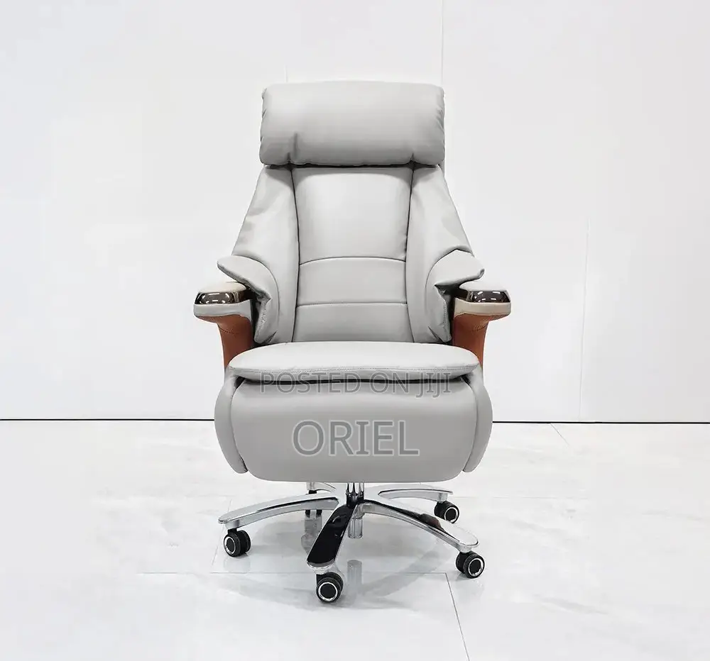 Office Chair : Executive Reclining Ergonomic Office Leather Chair