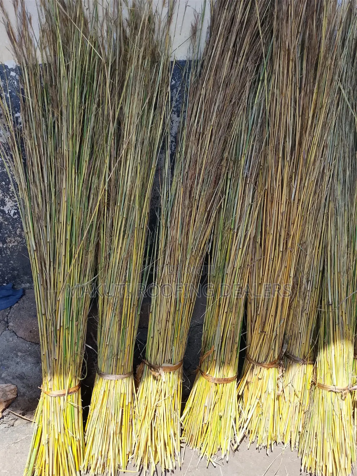 Kisumu Thatching Grass for Sale