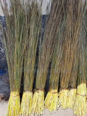 Kisumu Thatching Grass for Sale