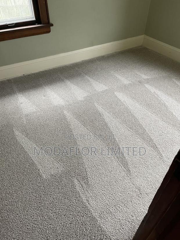Delta Wall to Wall Carpet – Strong Elegant