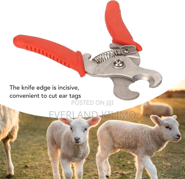 Ear Tag Remover Pliers - main view