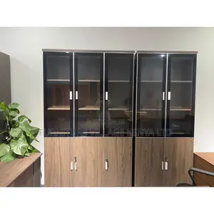 Office Cabinet; 2- Door Wooden Office Storage Cabinet