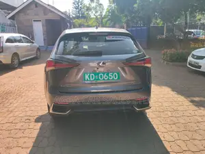 Lexus NX 300 FWD 2019 Gray