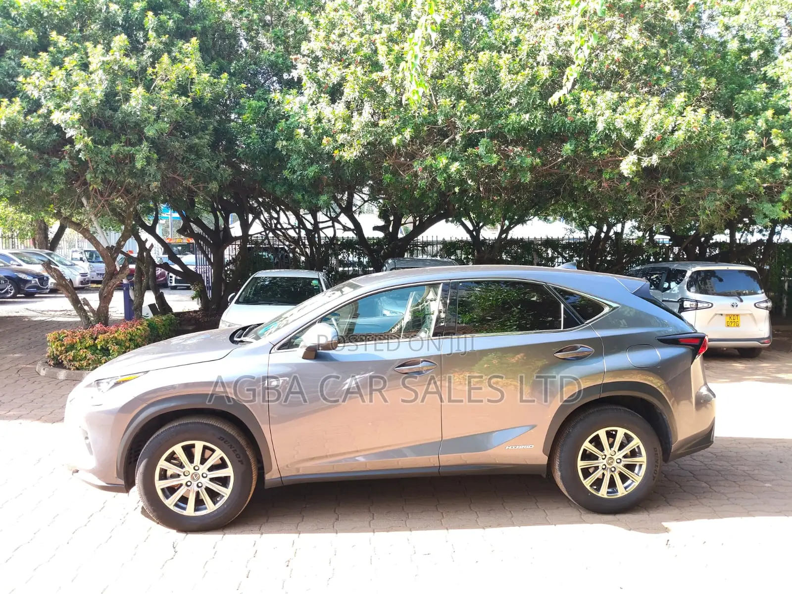 Lexus NX 300 FWD 2019 Gray