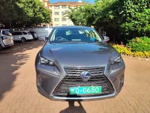 Lexus NX 300 FWD 2019 Gray