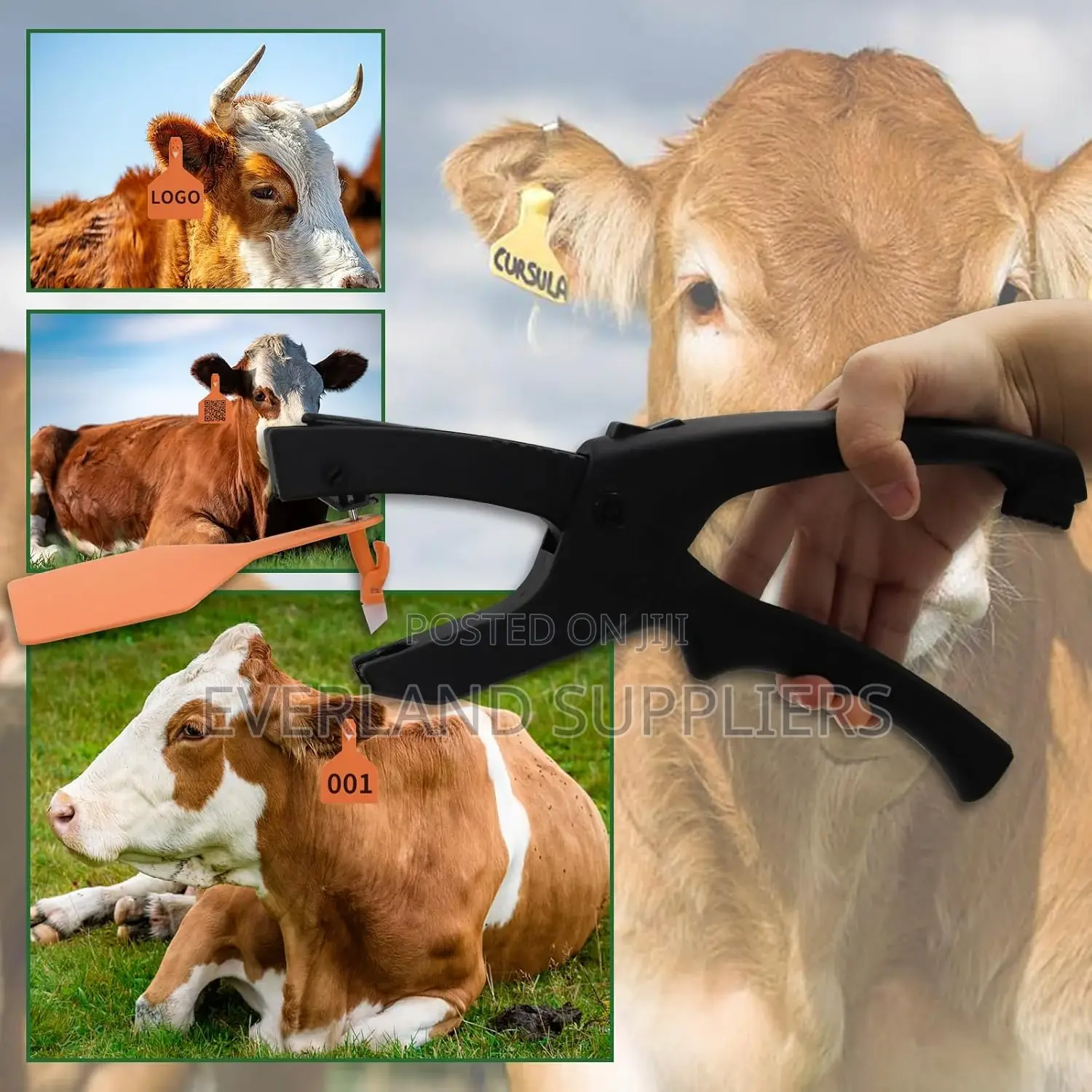 Livestock Z Ear Tag Applicator