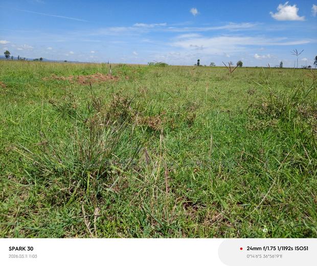 Naromoru Oasis Garden - main view