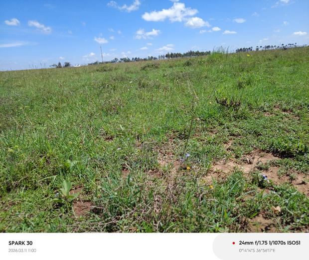 Naromoru Oasis Garden - thumbnail 2