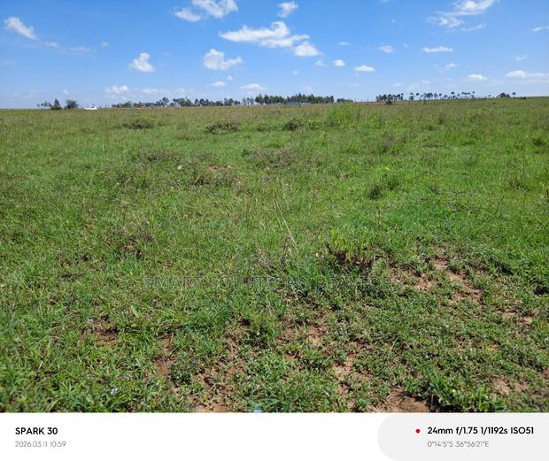 Naromoru Oasis Garden - thumbnail 3