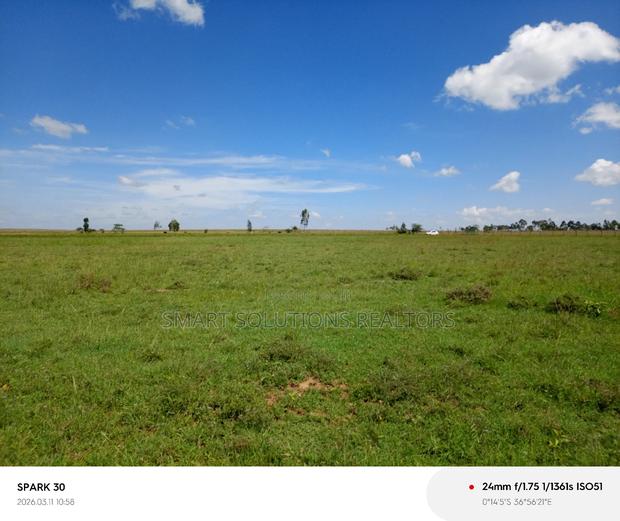 Naromoru Oasis Garden - thumbnail 4