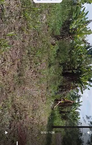 1.3acre That You Can Build and Also Practice Farming