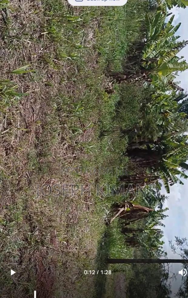 1.3acre That You Can Build and Also Practice Farming