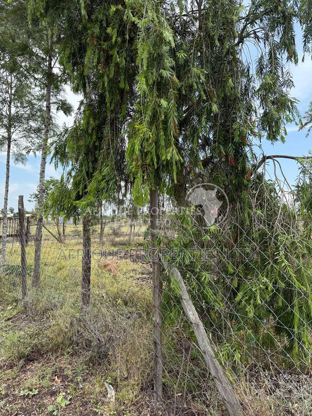 Prime 1/4-Acre Plot for Sale in Kitengela - thumbnail 7