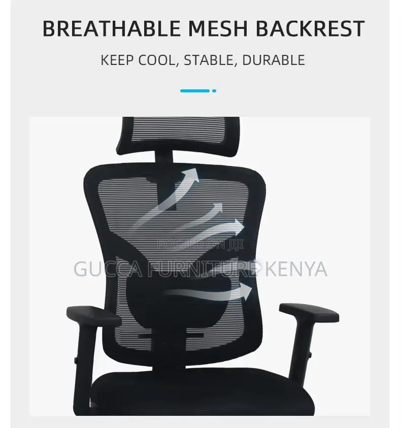 Ergonomic Executive Mesh Orthopedic Chair
