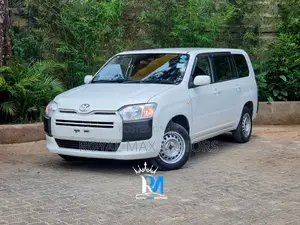 Toyota Probox 2019 White