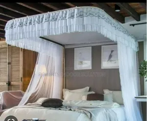 Deluxe Stylish Two Stand Mosquito Net