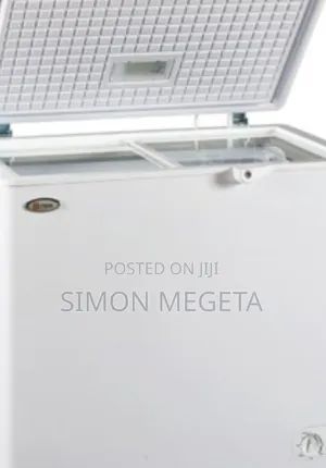 Rebune 250 Litres Deep Freezer