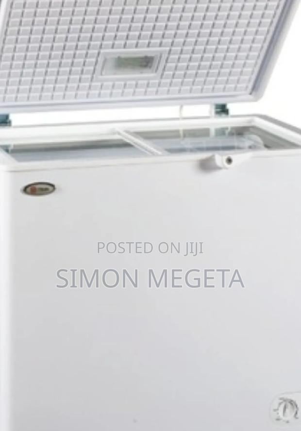 Rebune 250 Litres Deep Freezer