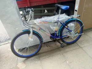 Bike Victory Size 24 Available in Different Colors 
