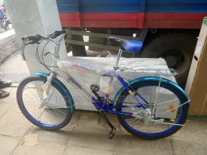 Victory Bike Size 24 With Multiple Speeds 