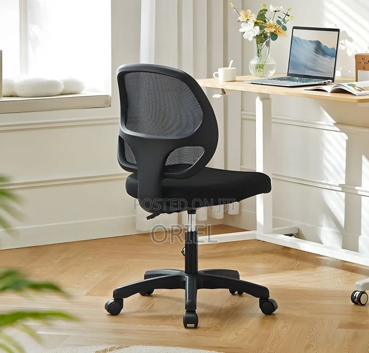Office Chair : Height Adjustable Office Cashier Chair
