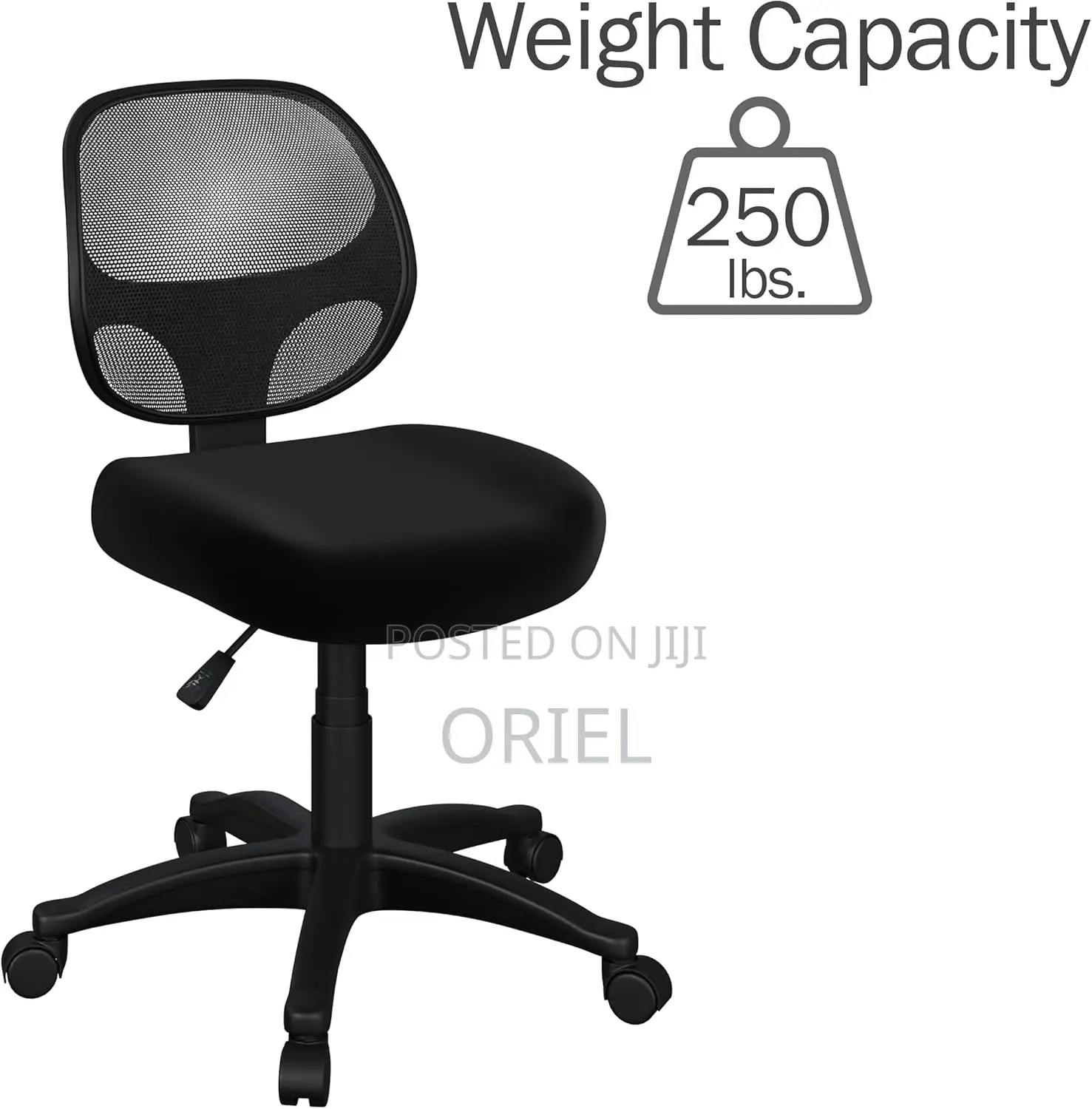 Office Chair : Height Adjustable Office Cashier Chair