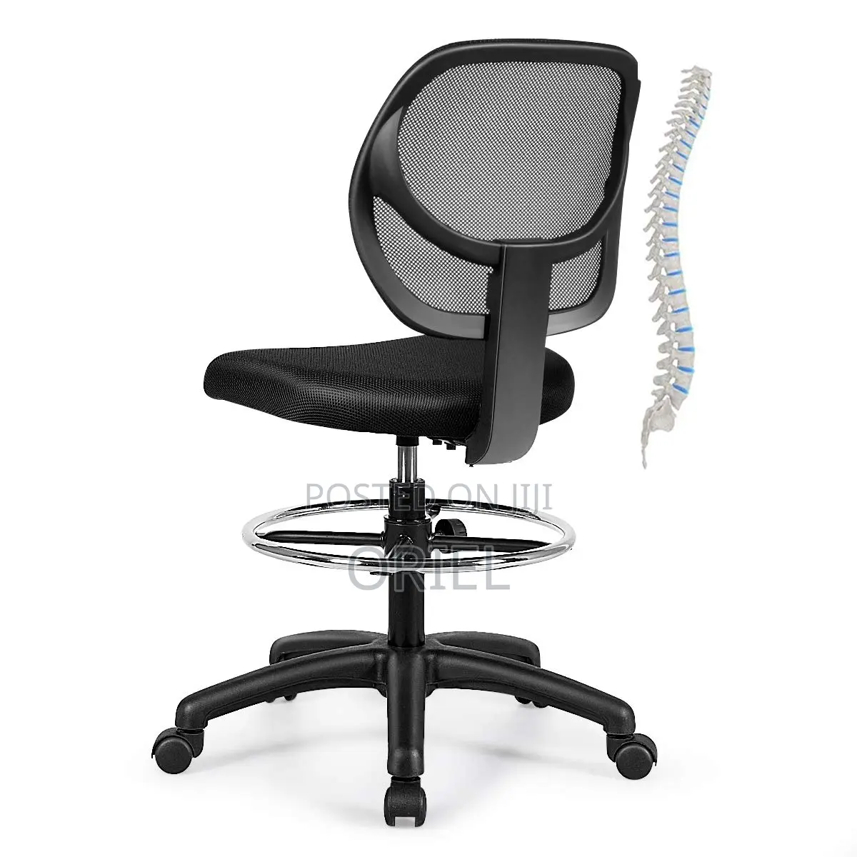 Office Chair : Height Adjustable Office Cashier Chair
