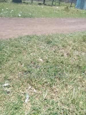 Sale of Aplot 50by100githurai - thumbnail 2