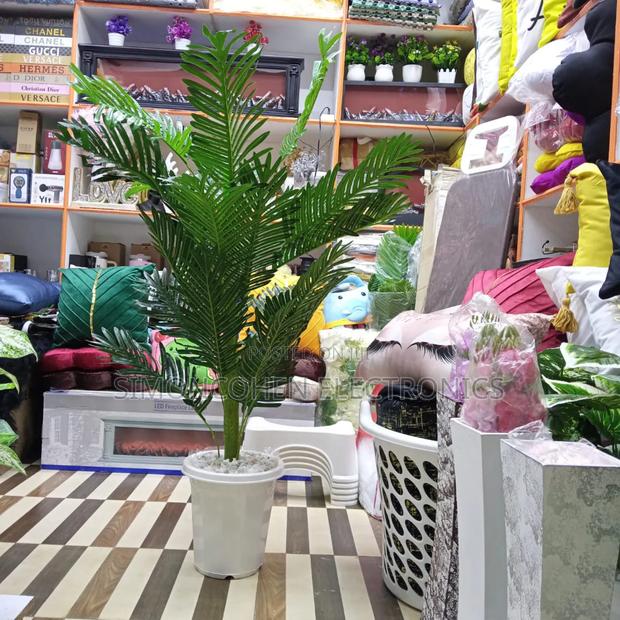 Palm Decor Tree