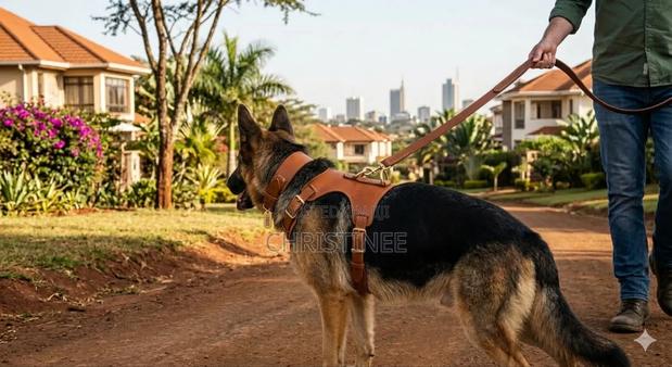 Durable Dog Leash - main view