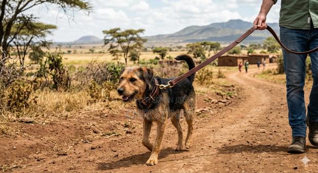 Durable Dog Leash - thumbnail 3