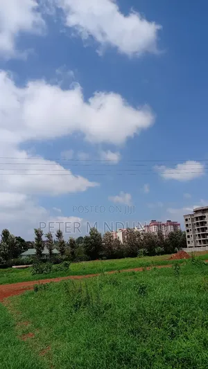 Thindigua, Kiambu Road- Prime One Acre, 3rd Row