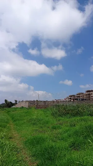Thindigua, Kiambu Road- Prime One Acre, 3rd Row