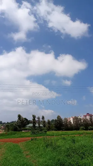Thindigua, Kiambu Road- Prime One Acre, 3rd Row