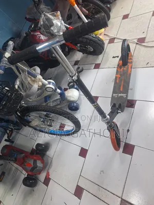 Two Wheels Metallic Skooter